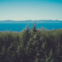 免费呼叫轰炸神器ios