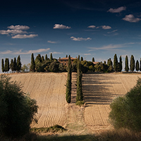 手机号接收平台
